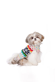 Rainbow Snowflake Dog Sweater