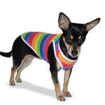 Rainbow Tank