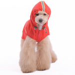 Rainy Day Safer