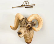 Ram Head Wall Mount Sculpture