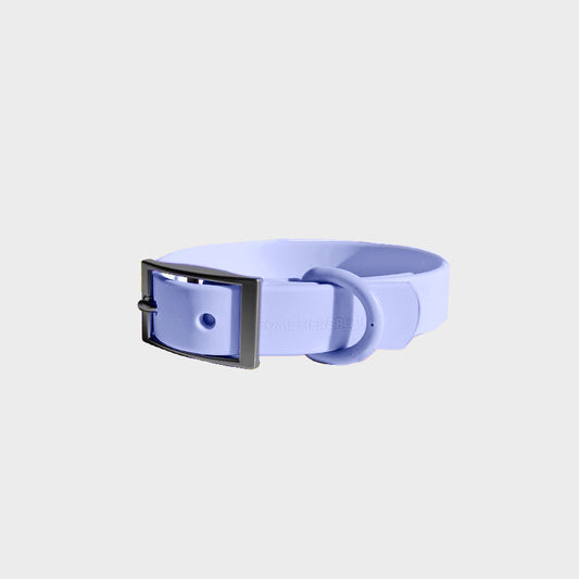 Everyday Collar - Southlake Paws