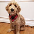 Load image into Gallery viewer, Red Buffalo Plaid Dog Bandana
