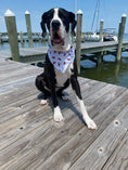 Load image into Gallery viewer, Red Crab Dog Bandana
