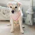 Load image into Gallery viewer, Red Hearts Valentine Bandana
