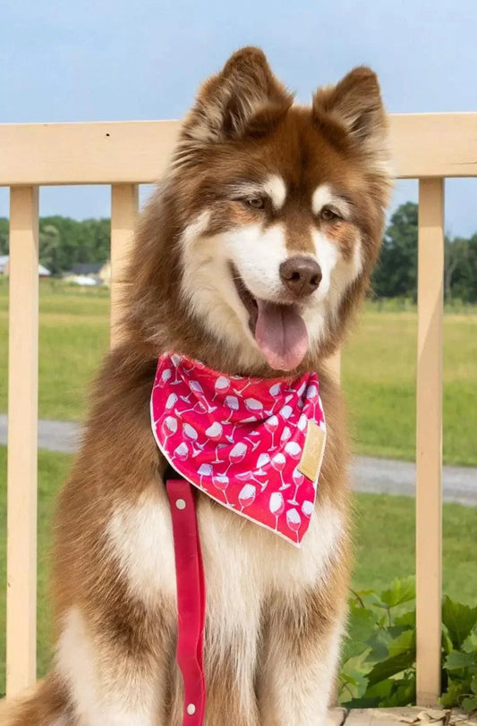 Red Mountain Syrah Dog Bandana - Southlake Paws