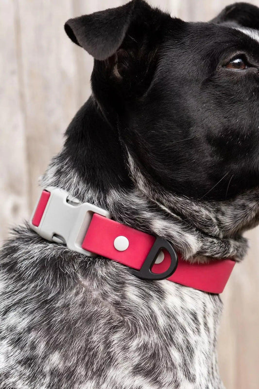 Red Mountain Syrah Waterproof Dog Collar - Southlake Paws