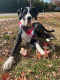 Load image into Gallery viewer, Red Plaid Luxe Flannel Dog Bandana
