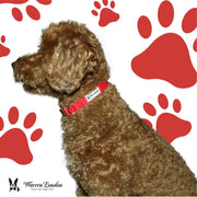 Fabric Dog Collar - Red