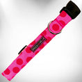 Load image into Gallery viewer, Polka Dot Dog Collars, Leads, and Bows - Monotone - 6 Styles
