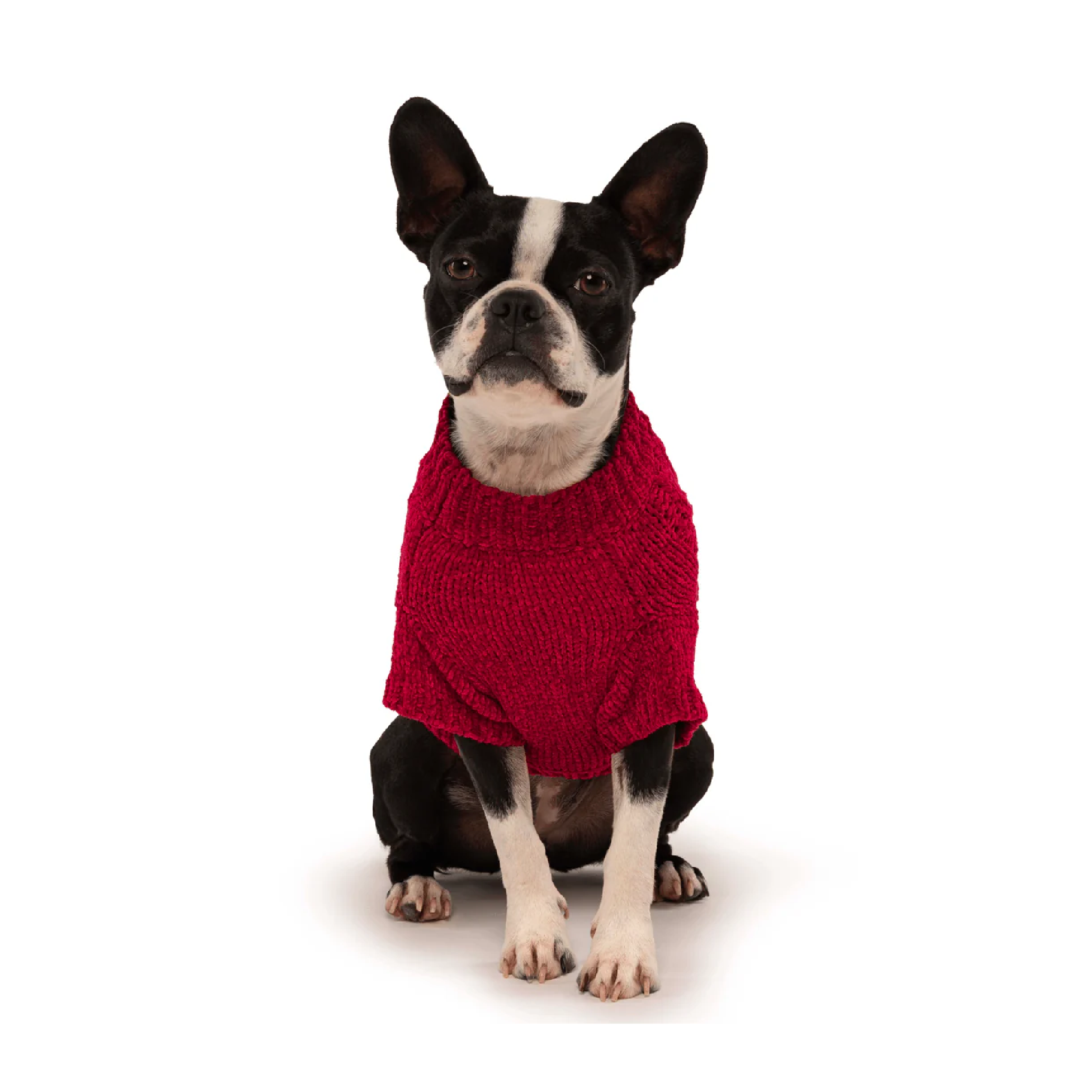 Ruby Chenille Sweater - Southlake Paws