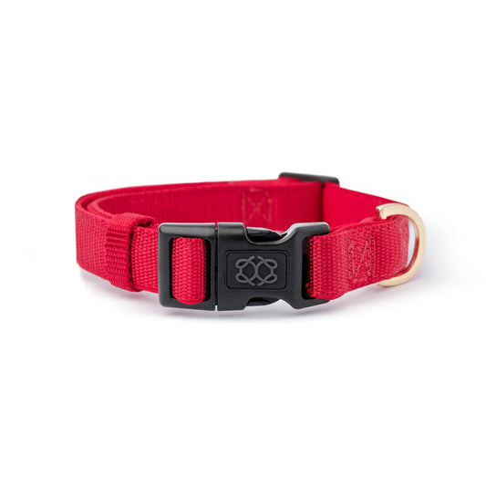 DOGISTRY City Collar - Iconic Red