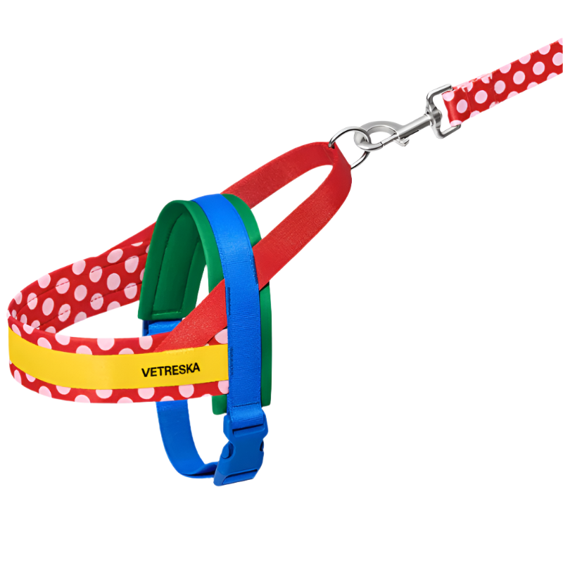 Red Polka Dot Chroma Dog Harness & Leash Set - Southlake Paws
