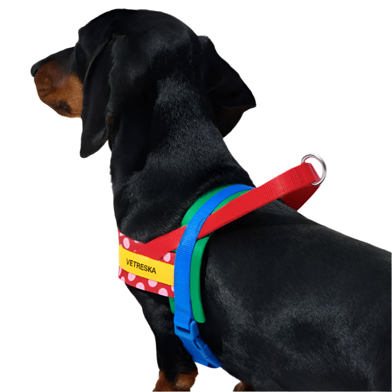 Red Polka Dot Chroma Dog Harness & Leash Set - Southlake Paws