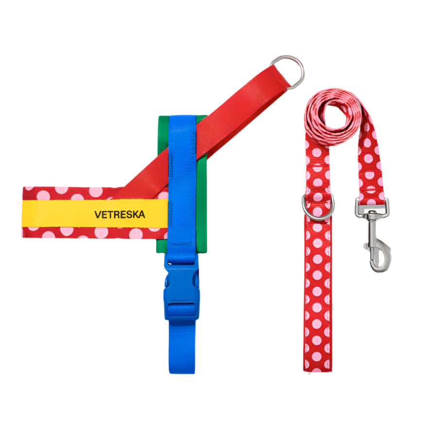 Red Polka Dot Chroma Dog Harness & Leash Set - Southlake Paws