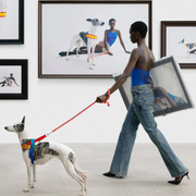 Red Polka Dot Chroma Dog Harness & Leash Set