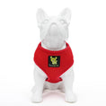 Load image into Gallery viewer, EcoBark Chery Red Dog Harness - Over-the-Head Soft Mesh Dog Vest Halter for Small to Medium Dogs and Puppies
