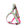 Load image into Gallery viewer, Reef Small Breed Dog Harness
