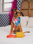 Load image into Gallery viewer, Reese Dog Bandana
