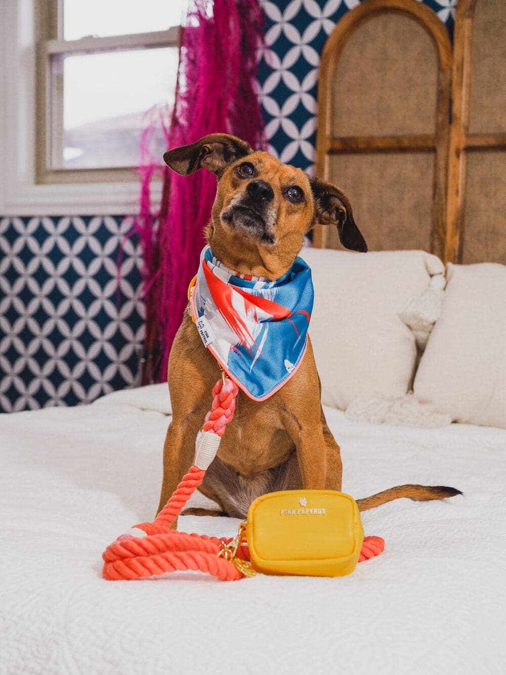 Reese Dog Bandana