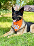 Load image into Gallery viewer, Reflective Dog Bandana Orange
