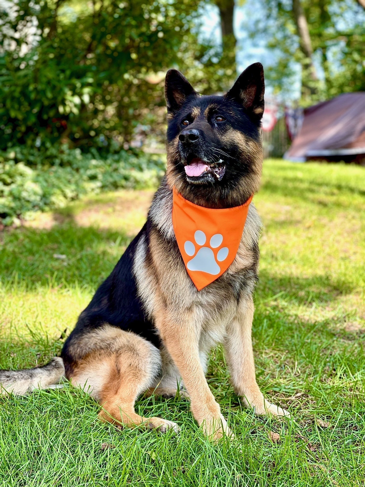 Reflective Dog Bandana Orange