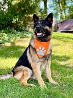 Reflective Dog Bandana Orange