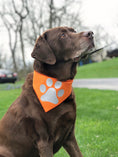 Load image into Gallery viewer, Reflective Dog Bandana Orange

