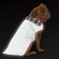 Load image into Gallery viewer, Reflective Jacket
