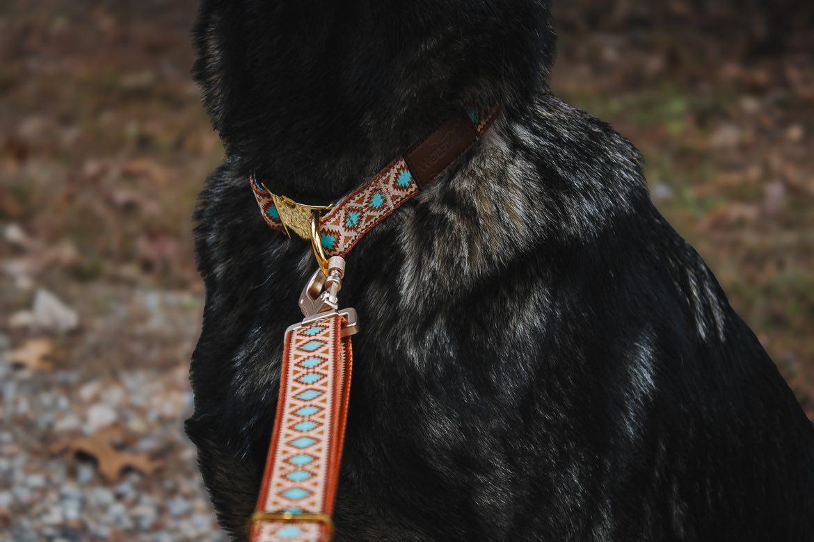 Southwest Spirit Leash - Southlake Paws