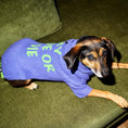 Load image into Gallery viewer, Ride or Die Sweater.
