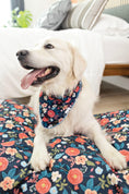 Load image into Gallery viewer, Riley Dog Bed
