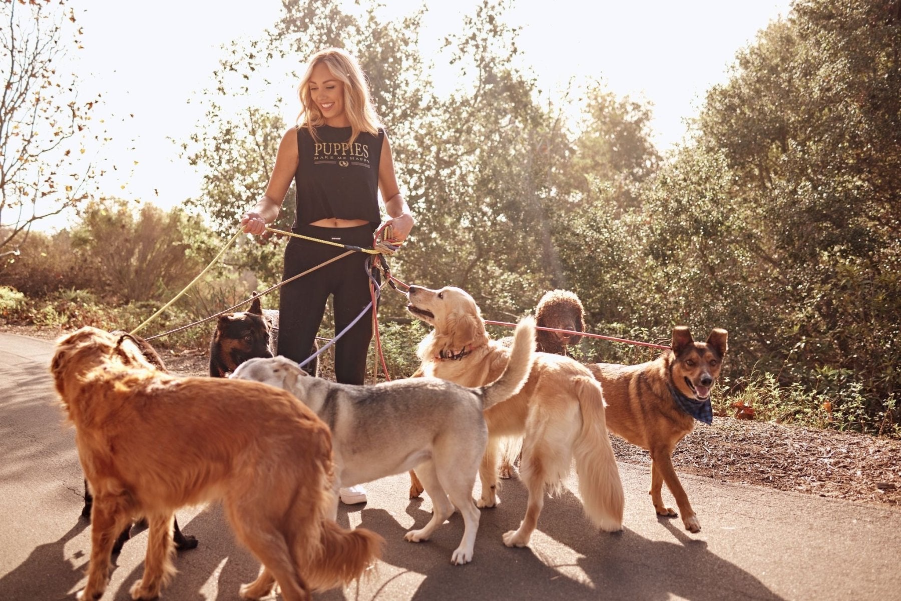 Rodeo Drive Dog Crop Top | Personalized Pup Gift | Gift for Dog Lovers