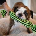 Load image into Gallery viewer, Knot-n-Chew
