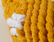 Chicken Drumstick 10