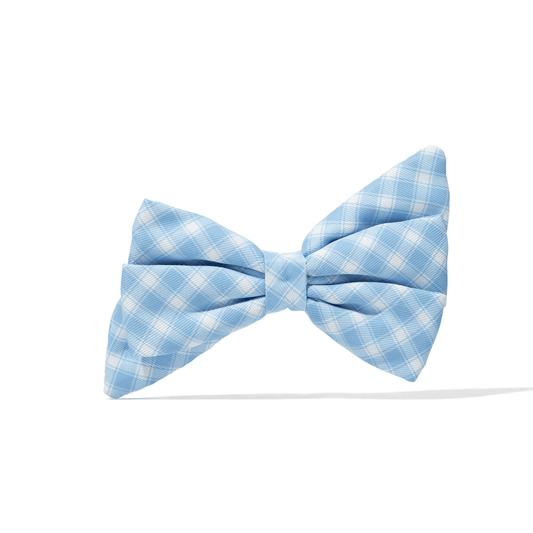 Rory Dog Babe Bow