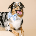 Load image into Gallery viewer, Rory Dog Babe Bow
