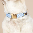 Load image into Gallery viewer, Rory Dog Collar
