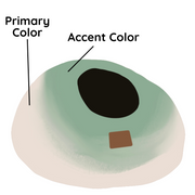 Burst Design | Round Style Cave