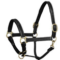 Load image into Gallery viewer, ExionPro Triple Stitched Leather Halter - Brass Hardware
