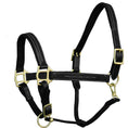 Load image into Gallery viewer, ExionPro Fancy Stitched Leather Halter - Brass Hardware
