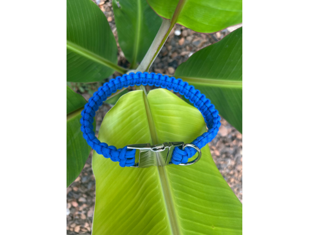 Cobra Braid in Royal Blue - Handmade Dog Collar - Southlake Paws