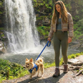 Load image into Gallery viewer, EcoBark Royal Blue Dog Leash- Padded Comfort Grip Leash - 4ft, 5ft, and 6ft Leash for Small and Medium Dogs

