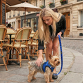 Load image into Gallery viewer, EcoBark Step In Dog Harness - XXXS to Small Breeds- Reflective Soft Mesh Harness for Teacup, Small Dogs and Puppies / Royal Blue
