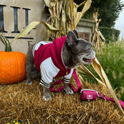 Frenchie Dog Hoodie - Ruby Varsity