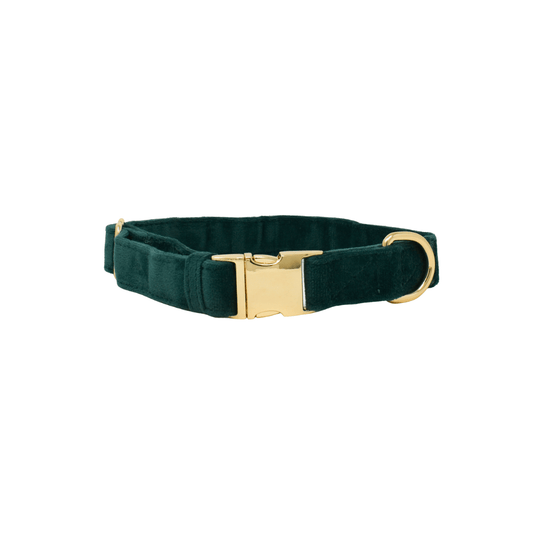Rue Dog Collar
