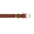 Load image into Gallery viewer, Topside Dog Collar in Chocolate

