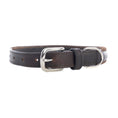 Load image into Gallery viewer, Rio Correr Dog Collar in Chocolate
