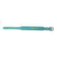 Load image into Gallery viewer, Turquoise Sky Southwest Dog Collar in Turquoise
