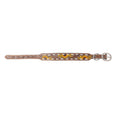 Load image into Gallery viewer, Prairie Sunflower Trail Dog Collar in Sandstone
