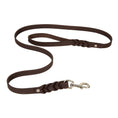 Load image into Gallery viewer, Adventurer Leather Dog Leash
